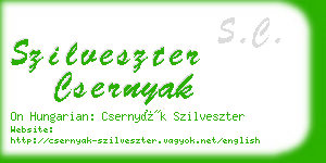 szilveszter csernyak business card